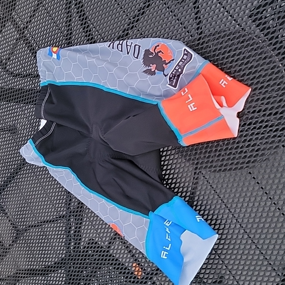 Darkhorse padded sport shorts